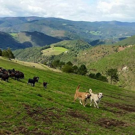 Hotel Rural Yeguada Albeitar Villayón Eksteriør billede